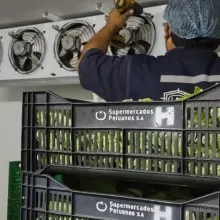 SERVICIO TECNICO REFRIGERACION CERCA A MEGA PLAZA INDEPENDENCIA