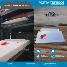 ALMACENADORES DE YACIMIENTOS MINEROS - BANDEJAS PORTATESTIGO TECOMING