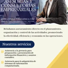 ASESORÍAS Y CONSULTORÍAS EMPRESARIALES