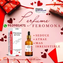 feromona del amor y la atracción-los olivos