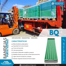 BANDEJAS PORTA TESTIGO BQ - EXPLORACIÓN - DIAMANTINA - GEOLOGÍA