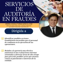 SERVICIOS DE AUDITORÍA EN FRAUDES 