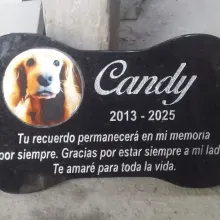 LAS MAS RECONOCIDAS LÁPIDAS PARA MASCOTAS DISEÑOS PERSONALIZADOS
