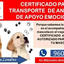 CERTIFICADO APOYO EMOCIONAL
