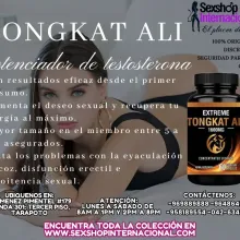 CON RESULTADO RAPIDOS DESDE EL PRIMER DIA