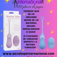 RELENTLESS SEEKER V2