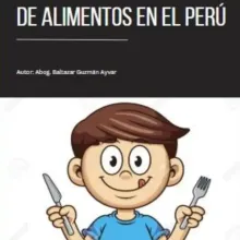 VENDO LIBRO DIGITAL DE DERECHO DE ALIMENTOS EN EL PERÚ