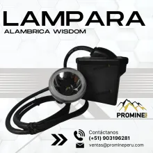 LAMPARA ALÁMBRICA - WISDOM 