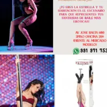 Barra Pole Dance Fetish Fantasy Series