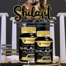 shilajit. Libera el poder inherente de este remedio herbal p