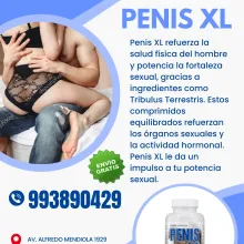 Penis XL AUMENTA EL TAMAÑO DEL P3NE EN POCO TIEMPO SEXSHOP
