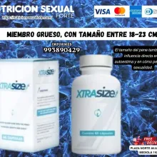 miembro grueso con tamaño entre 18-23 cm