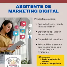 Asistente de Marketing Digital