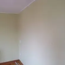 Leonidas Maestro pintor