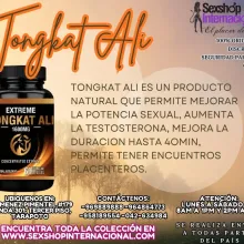 TONGKAT ALI POTENCIA TUS ENCUENTROS AL MAXIMO TARAPOTO SEXTO