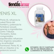 Lenceria TIENDAS AMOR SEXSHOP 958300709
