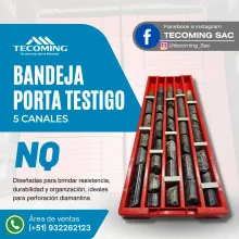 BANDEJA NQ - PROTECCION RESISTENTE Y ORGANIZACION SEGURA